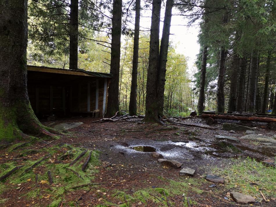 Klatreskogen