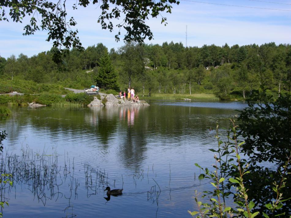 Bjørnevatnet - Badeplass.