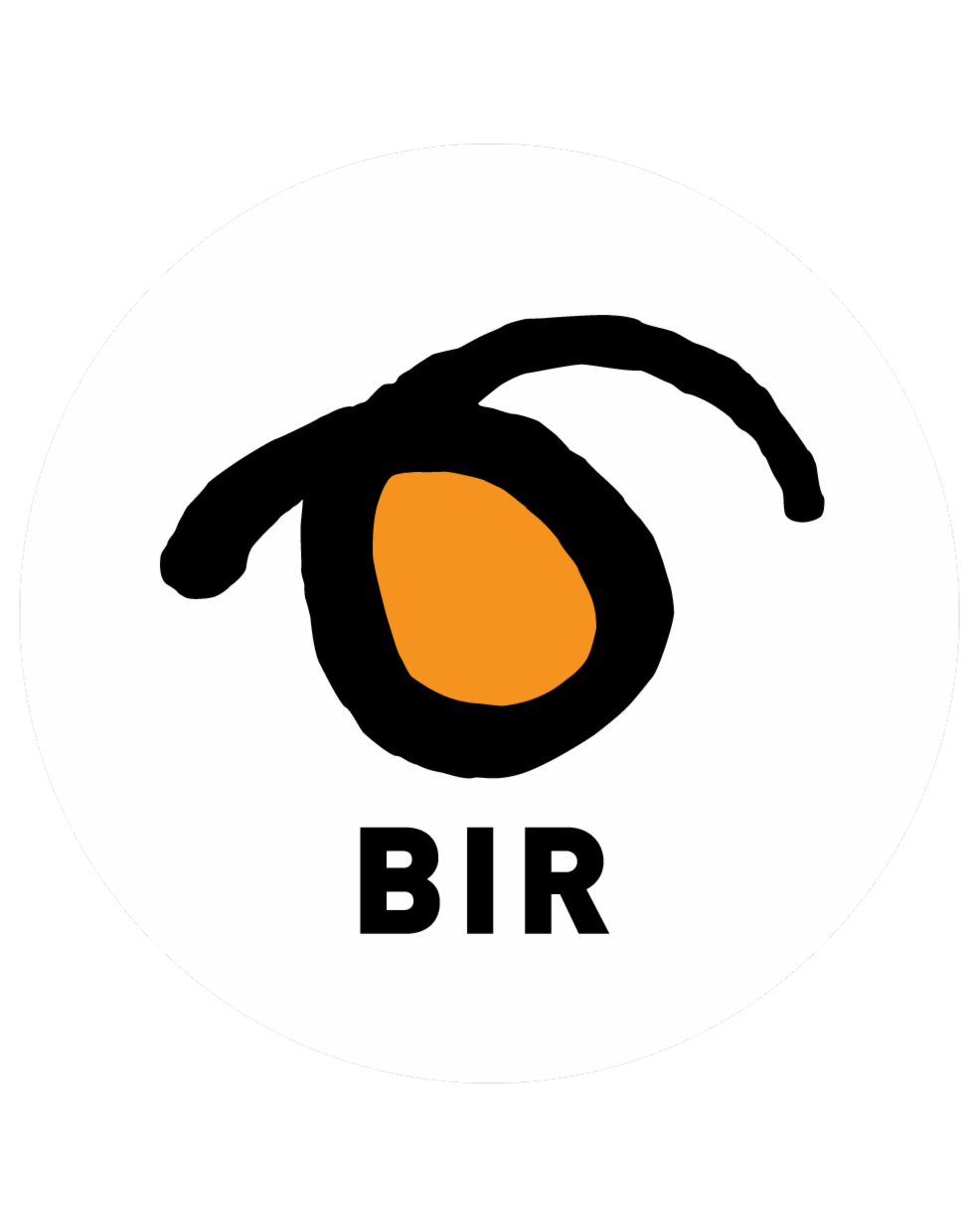 Gå til Bir