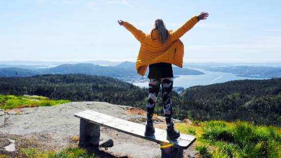 Fine turforslag på byfjellene bilde